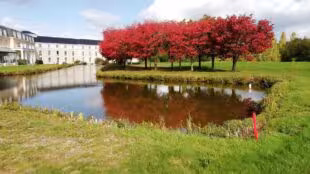 Mercure Chantilly Resort & Conventions