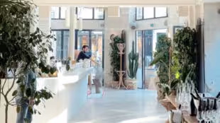 Ama Paris