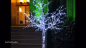 Arbre lumineux - Arbre lumineux