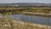 Domaine Capitoul