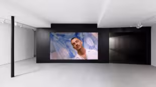 Studio des Acacias