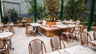 Citrus - Terrasse