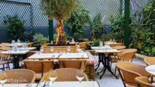 Citrus - Terrasse