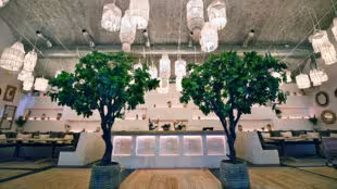 Le Selcius-Salon Santorin