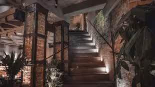 Moloko Paris