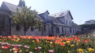 La Maison Montreau