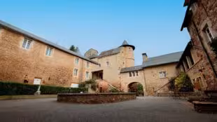 Château de Fontanges - Château de Fontanges