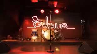 Gibus