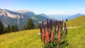 Azureva La Clusaz Les Confins**