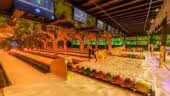Center Parcs les Bois Francs-Bowling