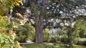 Domaine de la Tortinière **** - Extérieur