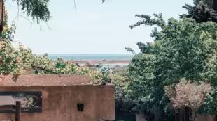 Château Le Bouis