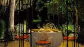 Auberge de Cassagne & Spa *****