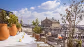 Perruche-Le bar