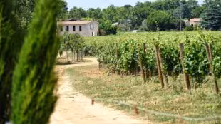 Domaine Enclos de la Croix