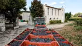 Domaine Enclos de la Croix