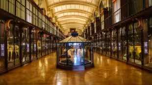 Grande galerie de l’évolution