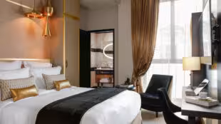 Niepce Paris, Curio Collection by Hilton