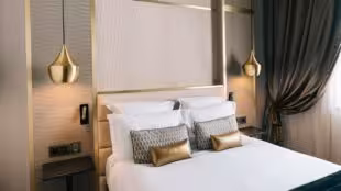 Niepce Paris, Curio Collection by Hilton