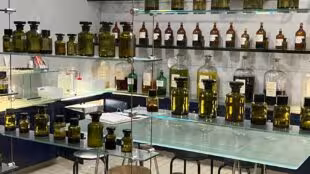 Team building parfumerie molinard
