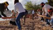 Team Building island adventure