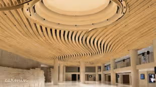 Le Carrousel du Louvre