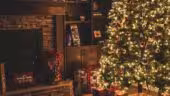 Christmas Winter Party