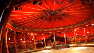 cabaret sauvage
