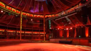 cabaret sauvage