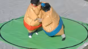 combat-sumos
