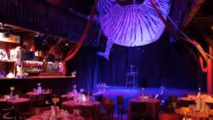 visuel cabaret-cirque-le-zèbre-