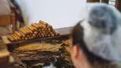 animation cigare cigarillos - Animation cigares cigarillos