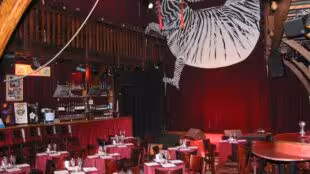 visuel int zebre avec config cabaret [640x480]