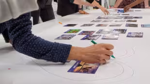 Atelier Fresque de la diversité-cartes - Atelier Fresque de la diversité - cartes