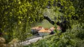 Chalet des îles-Lac barques - Chalet des îles - Lac barques