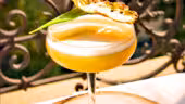 FIN PALLET Bar à Cocktail mobile Lyon