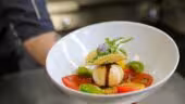 Domaine Des Séquoias - Bourgoin, Hotel, restaurant, brasserie, séminaire