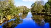 Camping les Rives de Grand Lieu