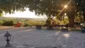 Mas de Thau