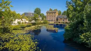 Ilot du Moulin de Mordelles