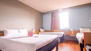 Hôtel Ibis Colmar Est en Alsace