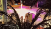 Palmeraie 4 - La Palmeraie