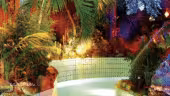 Palmeraie 5 - La Palmeraie