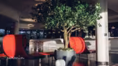 Athena Spa Strasbourg
