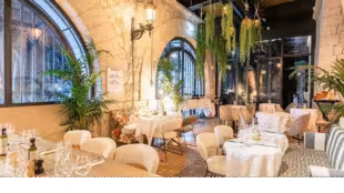 Solum Paris