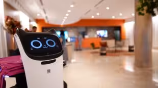 Location de robot evenementiel