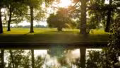photo_domaine-8-douves-et-soleil-copie