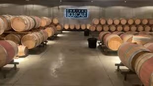 Château Bouscaut