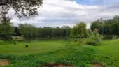 Domaine du Gouverneur