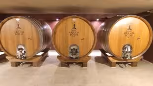 Chateau Grand Boise